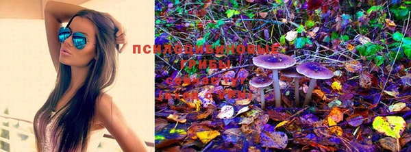 прущая мука Ладушкин