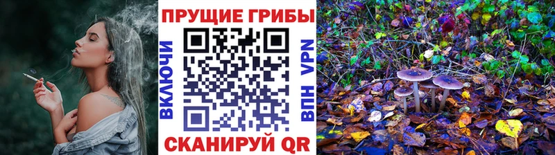 Галлюциногенные грибы Psilocybe Мариинский Посад
