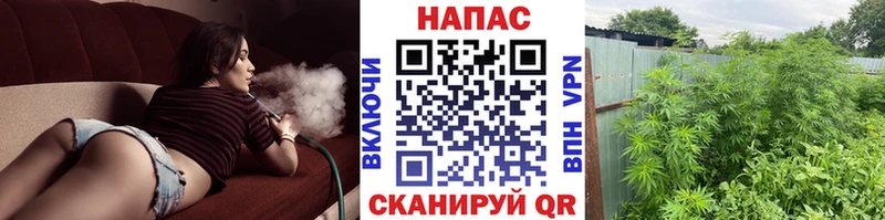 Марихуана SATIVA & INDICA  Мариинский Посад 